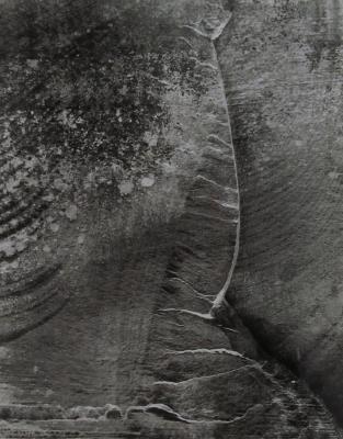 Wall Pattern, Paria Canyon, Utah