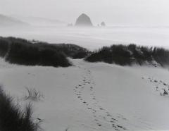 Noon, Cannon Beach, Oregon