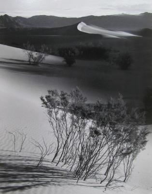 Dunes, Death Valley, California