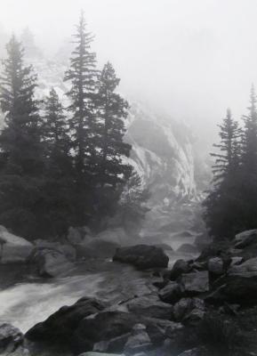 Morning Mist, 11 Mile Canyon, Colorado