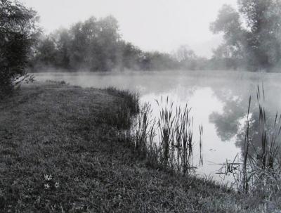 Morning Mist, Ada, Michigan