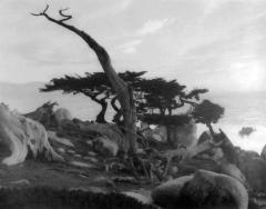 Pescadero Point, Caramel, California