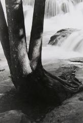 Waterfall with Three Trunks, Bruce Crossing, Michigan