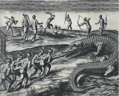 Killing Alligators