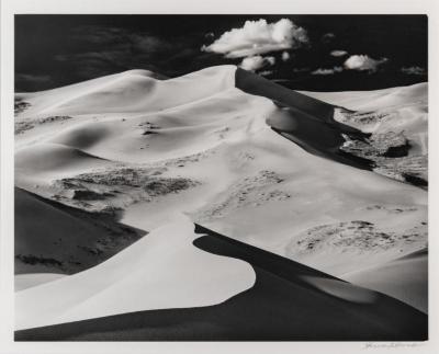 Dune Panorama