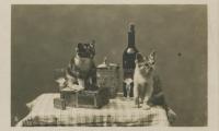 Untitled (Cats with Wine and Cigars)