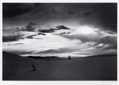 Evening, White Sands National Monument