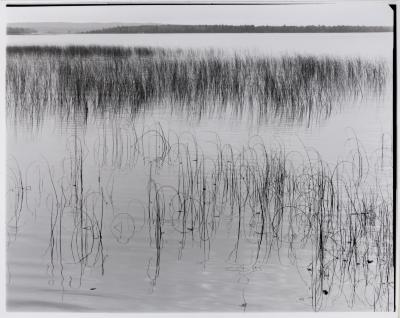 Crooked Lake, Petosky, Michigan