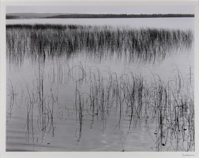 Crooked Lake, Petoskey, Michigan