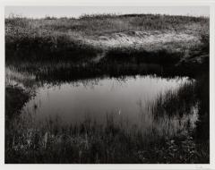 Pond, Lake Michigan