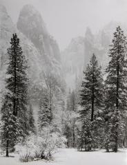 Yosemite Valley, Califonia 