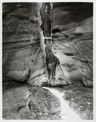 Jammed Log, Buckskin Gulch, Utah