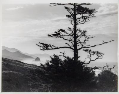 Cannon Beach, Oregon