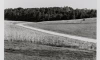 Country Road, Suttons Bay, Michigan