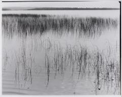 Crooked Lake, Petosky, Michigan