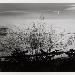 Michigan Landscape