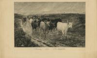 Untitled (Cattle)