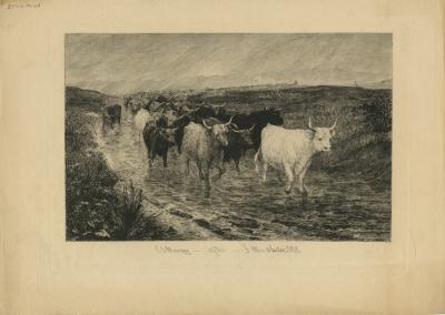 Untitled (Cattle)