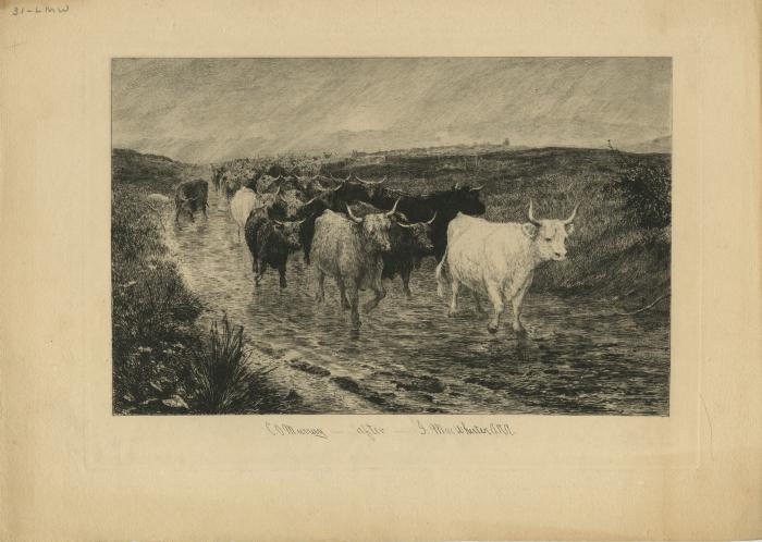Untitled (Cattle)