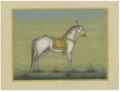 White Stately Horse