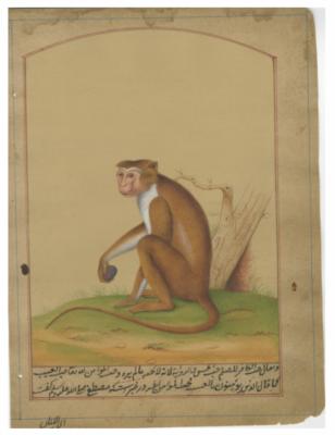 Monkey with Fruit, ca. 2008