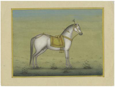 White Stately Horse