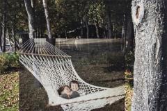 Sarah A. Truckey
