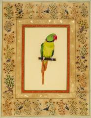 Green Parrot