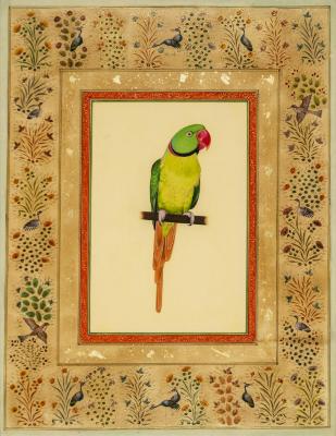 Green Parrot