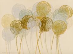 Paardelbloempluis (Dandelion Fluff)
