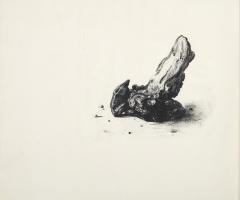 Untitled (Driftwood) 