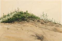 Provincetown Dune