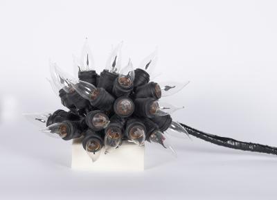 Untitled (Blossom)