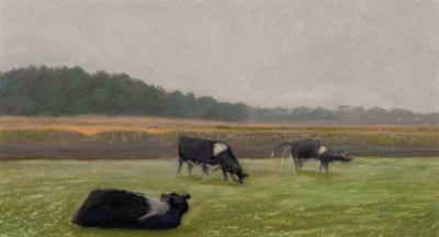 Three Cows in a Field