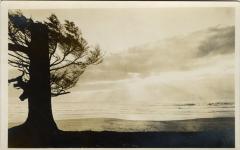 Untitled (Landscape) 