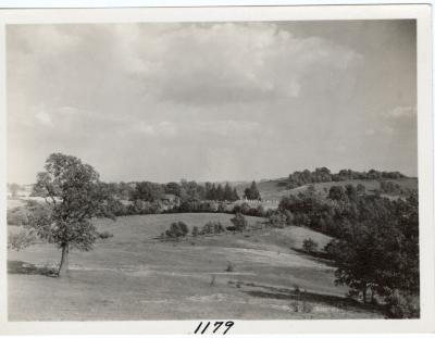 Untitled (Hilly Landscape) 