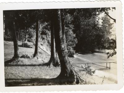 Untitled (Lake, Dock, and Trees) 