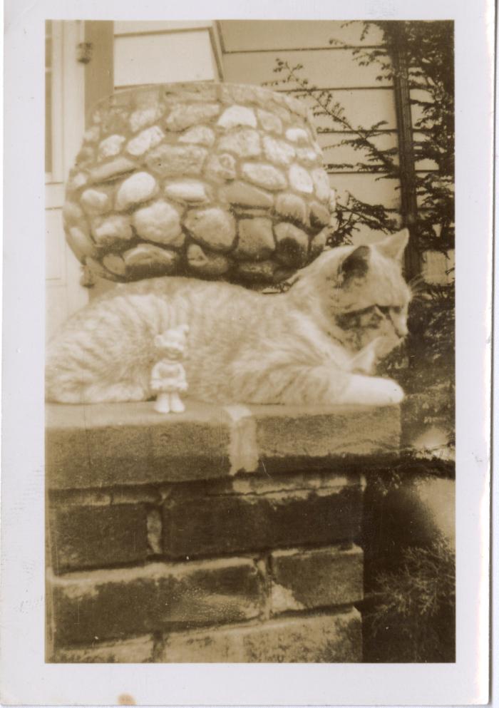 Untitled (Cat on Wall) 