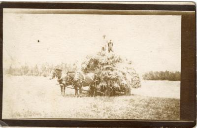 Untitled (Two Horses Pulling Hay) 