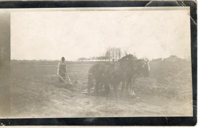 Untitled (Man and Horses Pulling a Plow) 