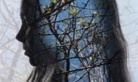 Clare in the Trees
