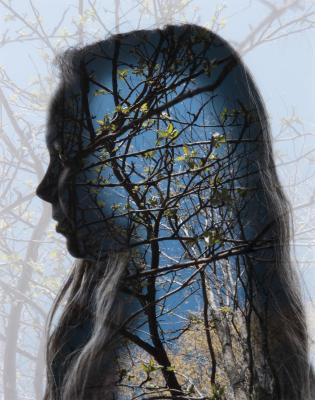 Clare in the Trees
