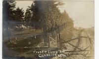 Untitled (Trees, Field, and Road) 