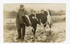 Untitled (Man with Cow)