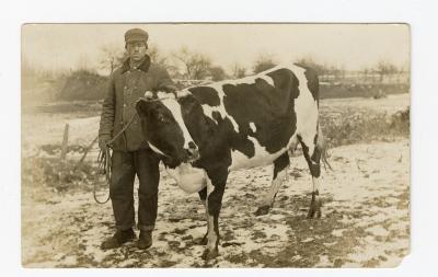 Untitled (Man with Cow)