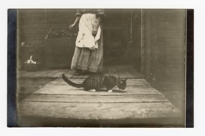 Untitled (Cat and woman)