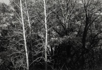 Grand River Ravines