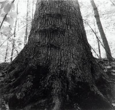 Grand River Ravines