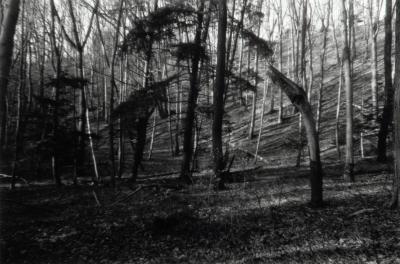 Grand River Ravines