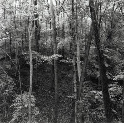 Grand River Ravines